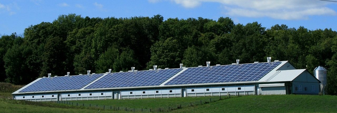 güneş enerjili çiftlik